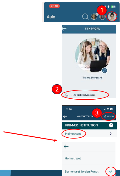 Vælg primærinstitution