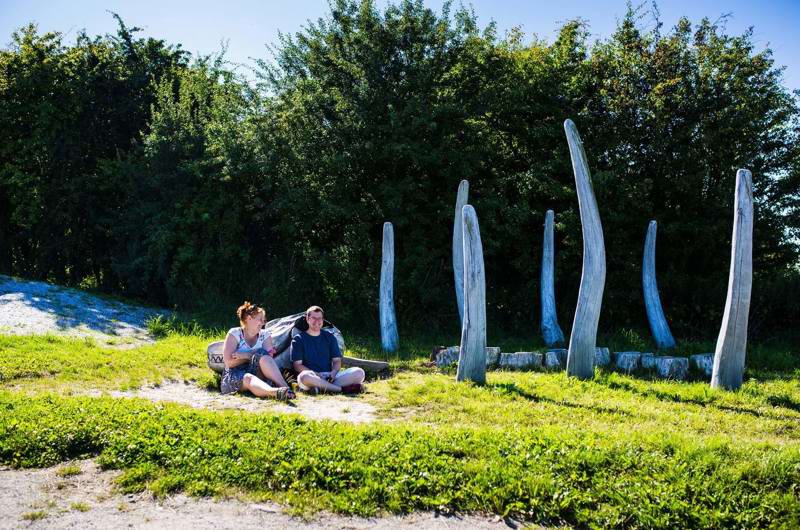 Besøg et fugleeldorado ved Egå Engsø