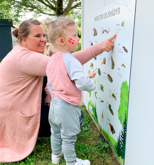 En voksen og et barn kigger på en tavle med insekter og smådyr