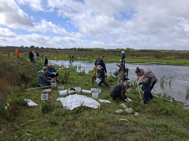 Billede naturfest 300 hektar ny natur