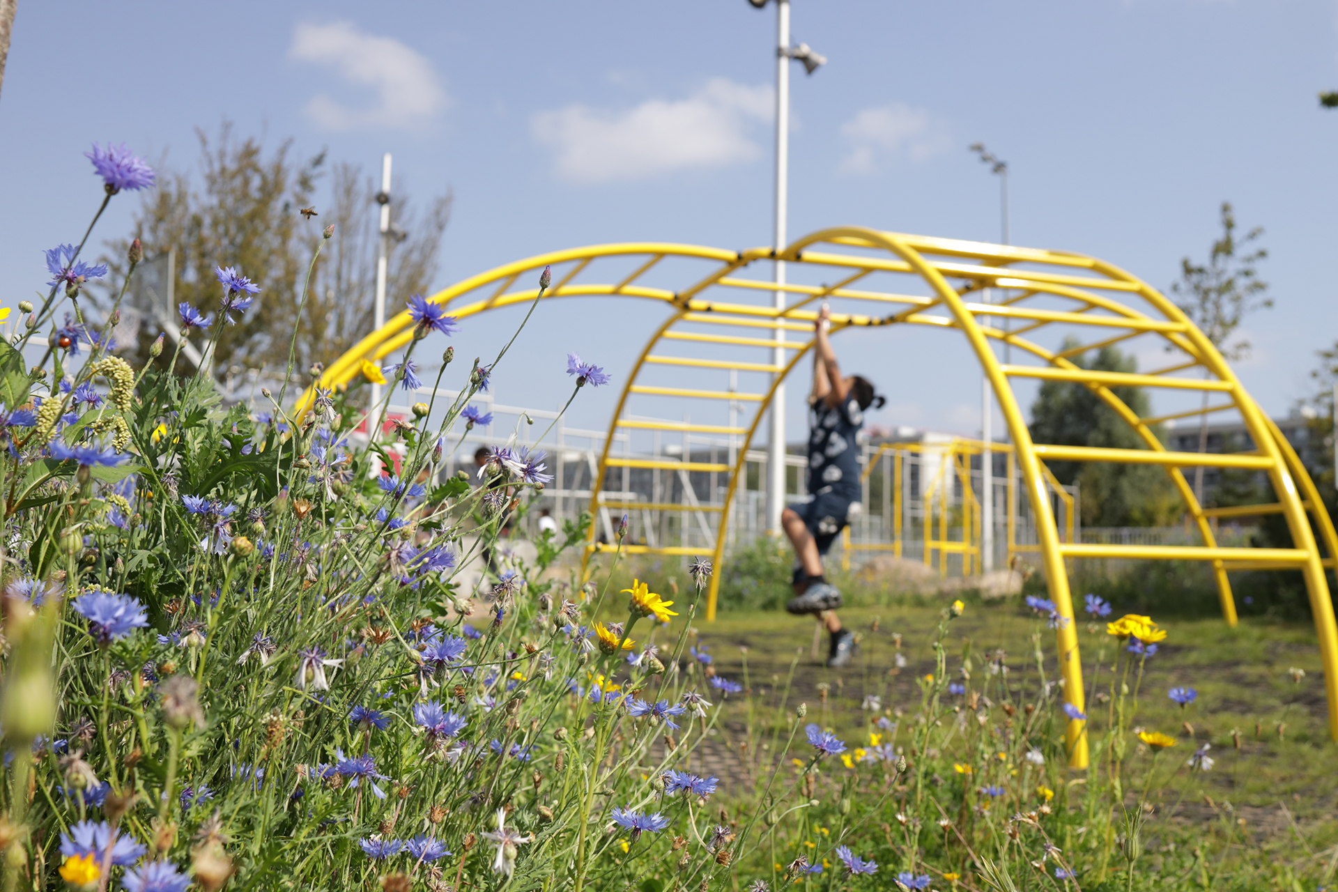 Blomster og et barn i et legestativ ved Kløverskolen