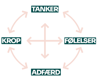 Den Kognitive Model med ordene: Tanker, krop, adfærd og følelser. Der er pile mellem alle ordene