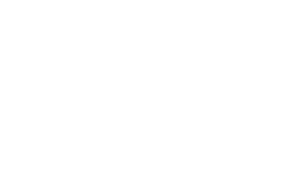 Img icon
