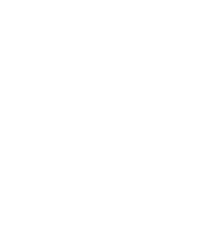 Img icon