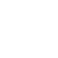 Img icon