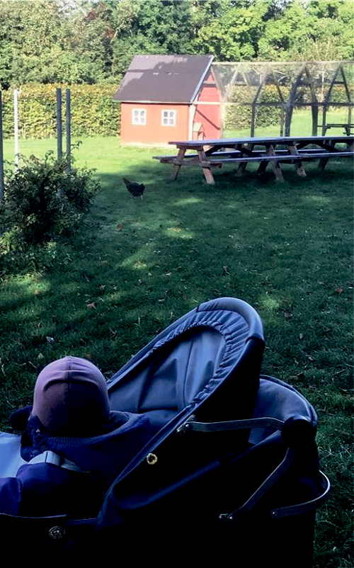 Et barn i en barnevogn i haven