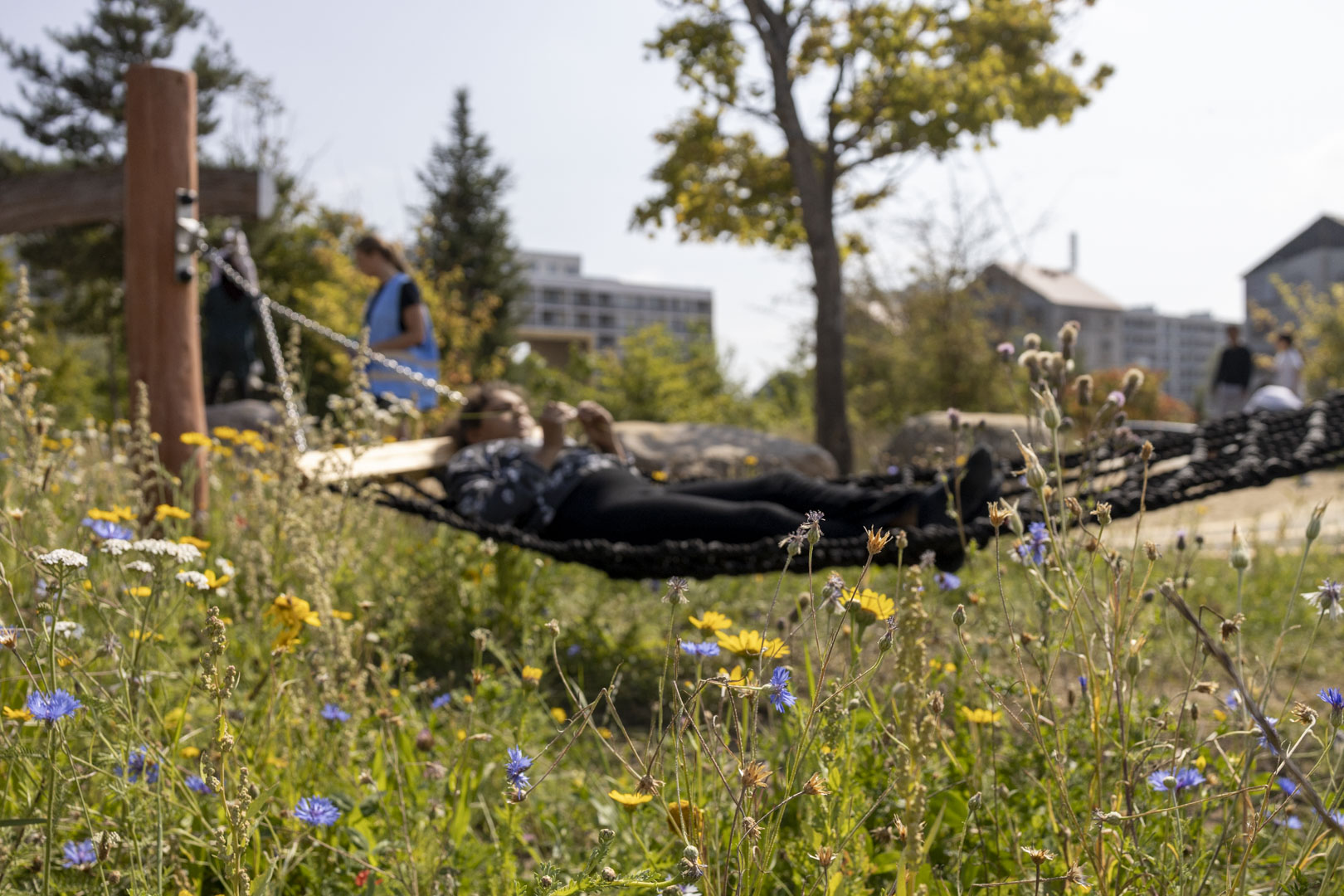 Grønne omgivelser ved Kløverskolen