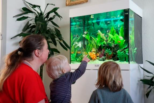 En voksen og to børn kigger på et akvarium