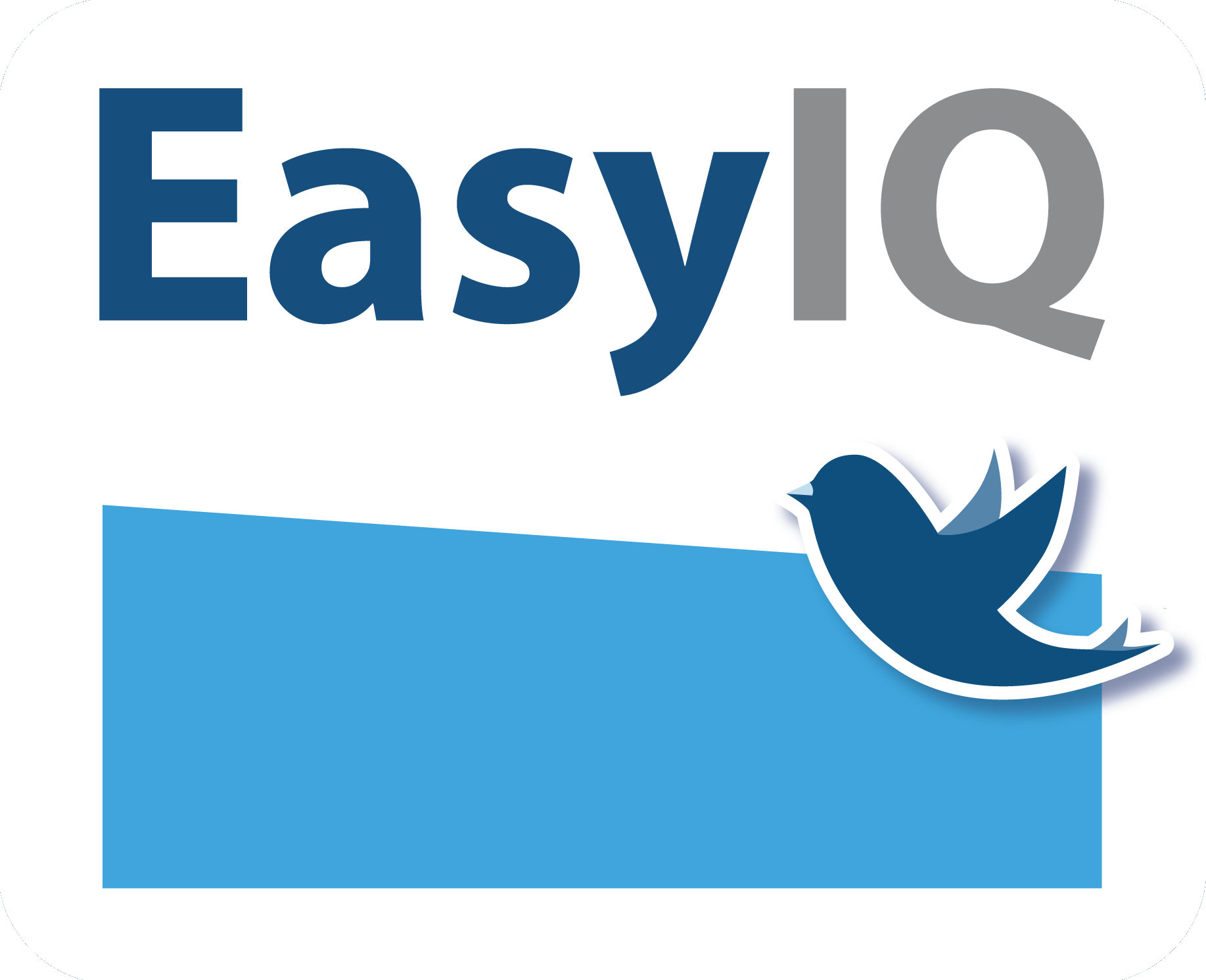 Img icon